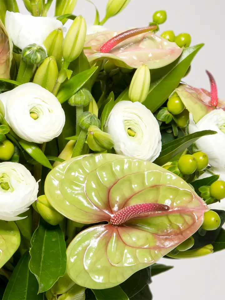Bouquet di anthurium pistache ranuncoli bianchi e bacche verdi macro